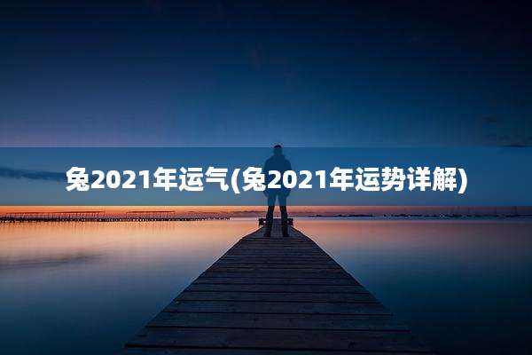 兔2021年运气(兔2021年运势详解)