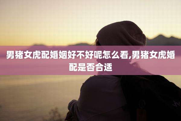 男猪女虎配婚姻好不好呢怎么看,男猪女虎婚配是否合适