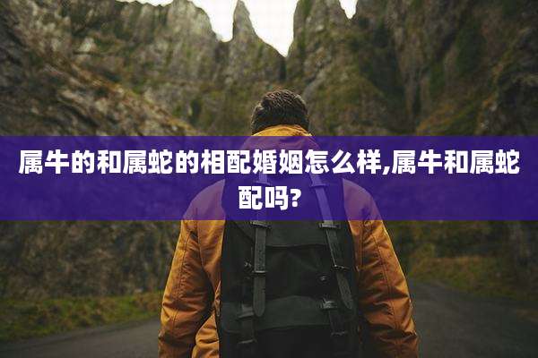 属牛的和属蛇的相配婚姻怎么样,属牛和属蛇配吗?