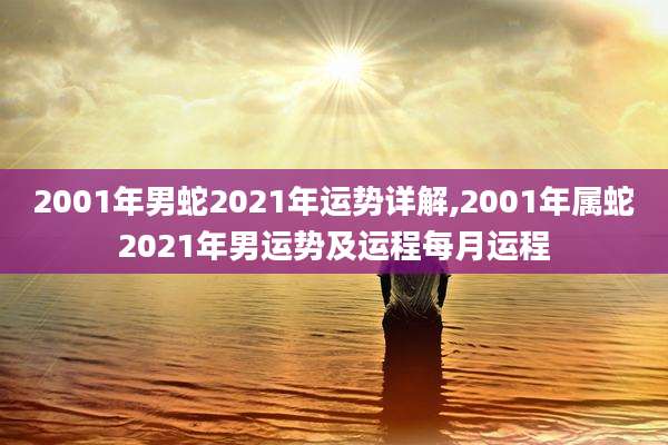 2001年男蛇2021年运势详解,2001年属蛇2021年男运势及运程每月运程