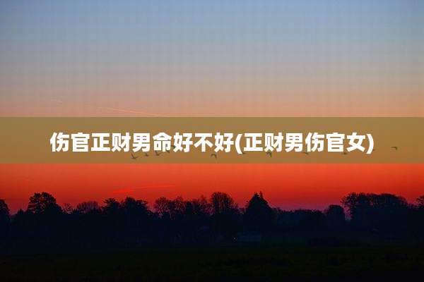 伤官正财男命好不好(正财男伤官女)