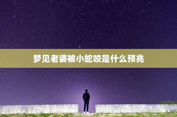 梦见老婆被小蛇咬是什么预兆