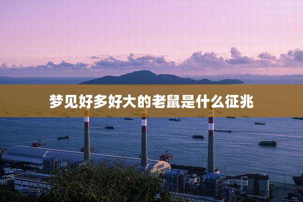 梦见好多好大的老鼠是什么征兆