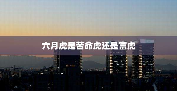 六月虎是苦命虎还是富虎