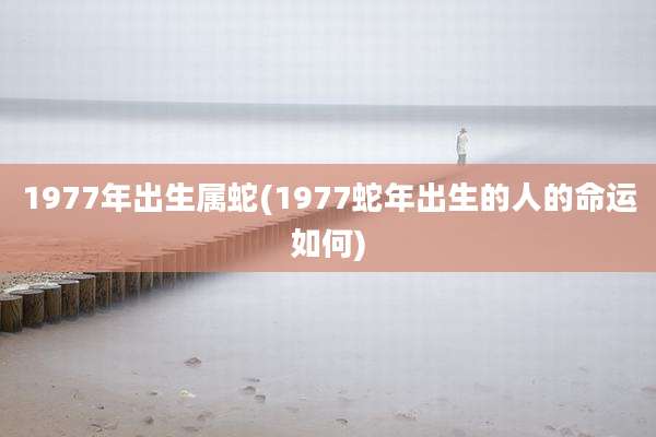 1977年出生属蛇(1977蛇年出生的人的命运如何)