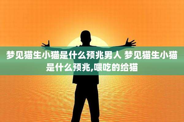 梦见猫生小猫是什么预兆男人 梦见猫生小猫是什么预兆,喂吃的给猫