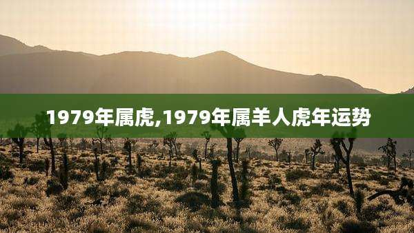 1979年属虎,1979年属羊人虎年运势