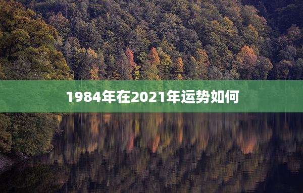 1984年在2021年运势如何