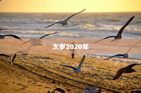 太岁2020年