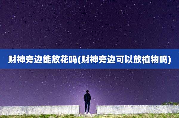 财神旁边能放花吗(财神旁边可以放植物吗)