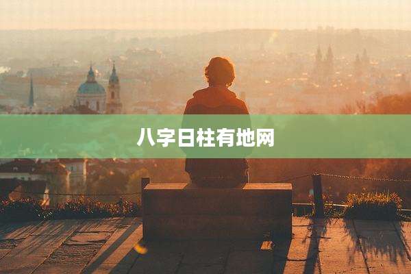 八字日柱有地网
