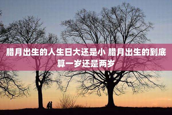 腊月出生的人生日大还是小 腊月出生的到底算一岁还是两岁