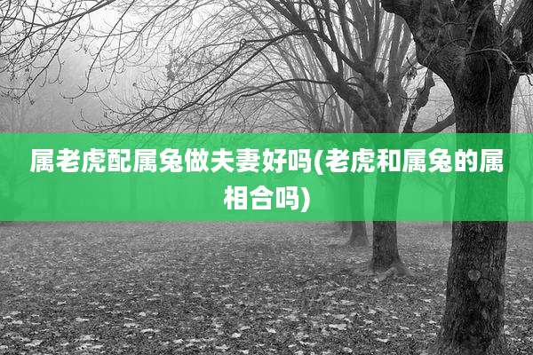属老虎配属兔做夫妻好吗(老虎和属兔的属相合吗)