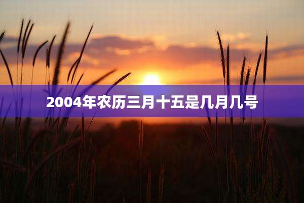 2004年农历三月十五是几月几号