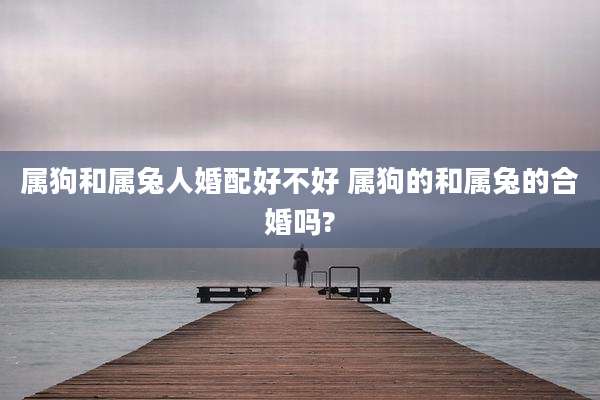 属狗和属兔人婚配好不好 属狗的和属兔的合婚吗?