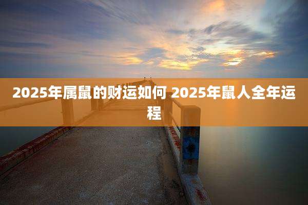 2025年属鼠的财运如何 2025年鼠人全年运程