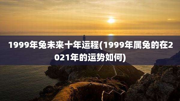 1999年兔未来十年运程(1999年属兔的在2021年的运势如何)