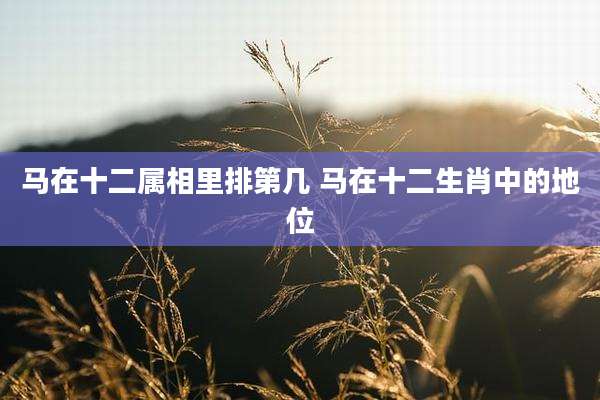 马在十二属相里排第几 马在十二生肖中的地位