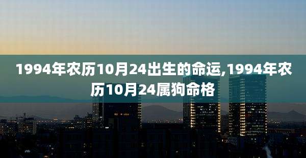 1994年农历10月24出生的命运,1994年农历10月24属狗命格
