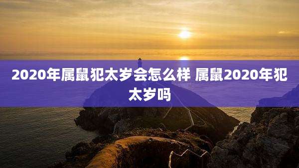 2020年属鼠犯太岁会怎么样 属鼠2020年犯太岁吗