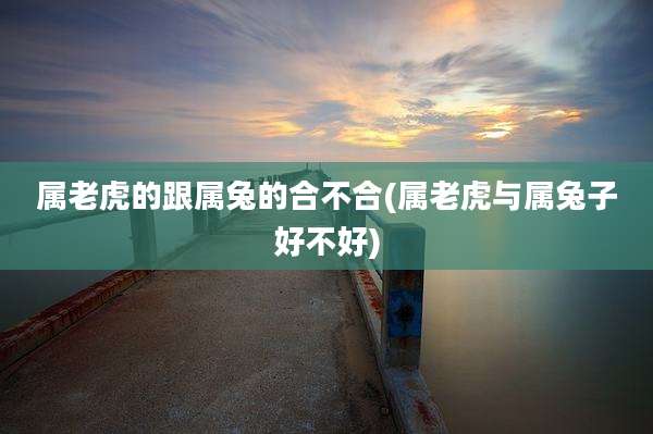 属老虎的跟属兔的合不合(属老虎与属兔子好不好)