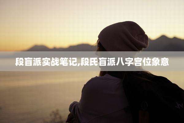 段盲派实战笔记,段氏盲派八字宫位象意