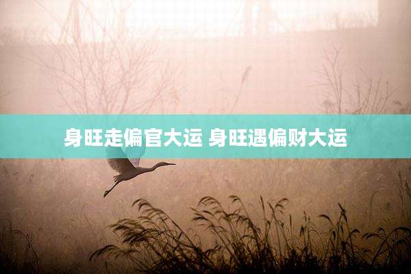 身旺走偏官大运 身旺遇偏财大运