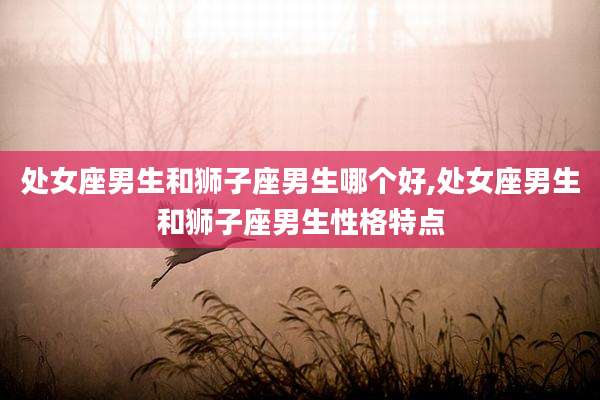 处女座男生和狮子座男生哪个好,处女座男生和狮子座男生性格特点