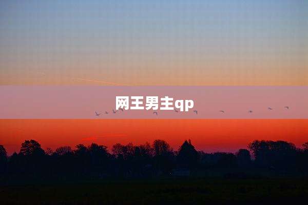 网王男主qp