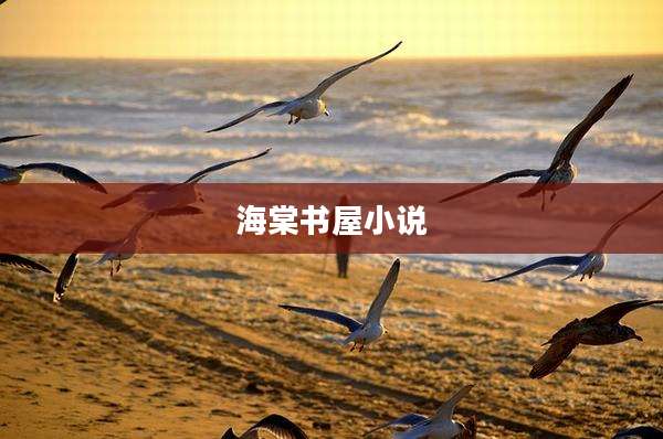 海棠书屋小说