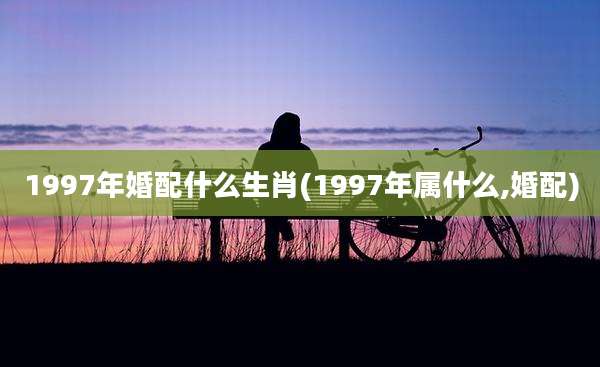 1997年婚配什么生肖(1997年属什么,婚配)