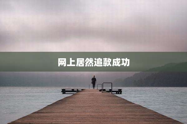 网上居然追款成功