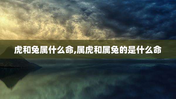 虎和兔属什么命,属虎和属兔的是什么命