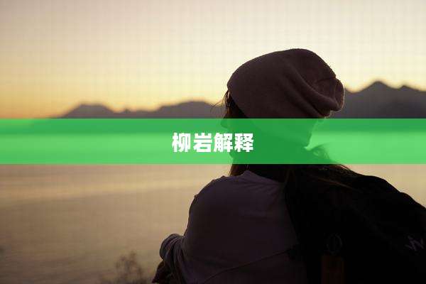 柳岩解释