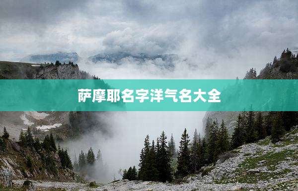 萨摩耶名字洋气名大全