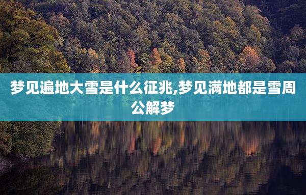 梦见遍地大雪是什么征兆,梦见满地都是雪周公解梦