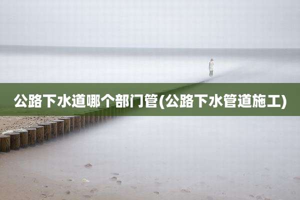 公路下水道哪个部门管(公路下水管道施工)