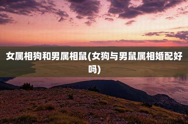 女属相狗和男属相鼠(女狗与男鼠属相婚配好吗)