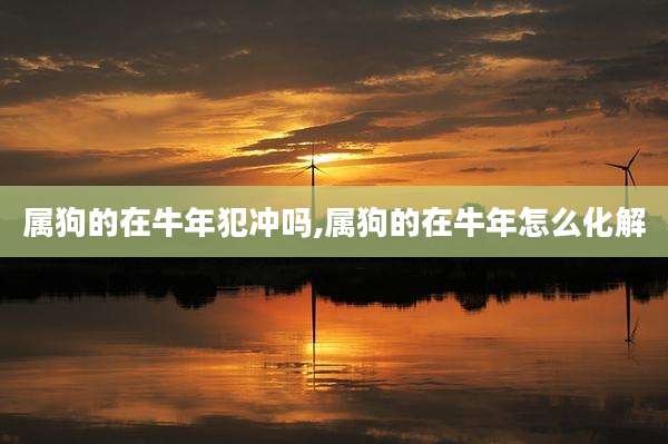 属狗的在牛年犯冲吗,属狗的在牛年怎么化解