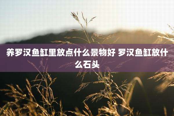 养罗汉鱼缸里放点什么景物好 罗汉鱼缸放什么石头