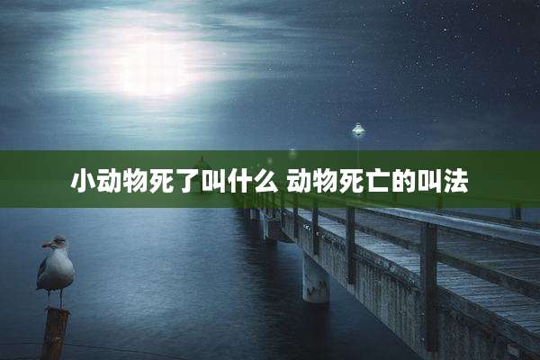 小动物死了叫什么 动物死亡的叫法