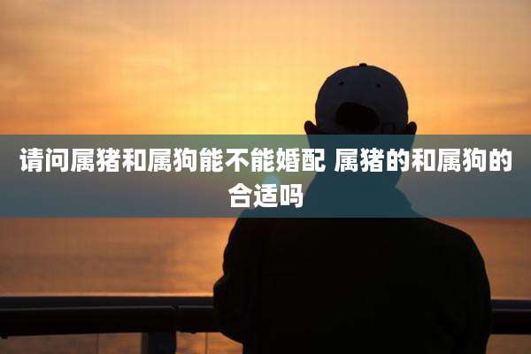 请问属猪和属狗能不能婚配 属猪的和属狗的合适吗