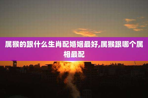 属猴的跟什么生肖配婚姻最好,属猴跟哪个属相最配