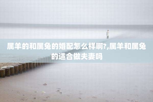 属羊的和属兔的婚配怎么样啊?,属羊和属兔的适合做夫妻吗