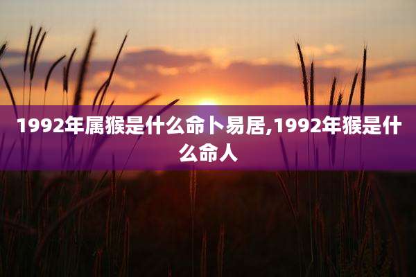 1992年属猴是什么命卜易居,1992年猴是什么命人