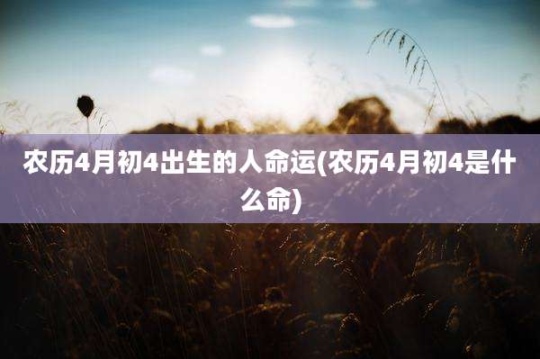 农历4月初4出生的人命运(农历4月初4是什么命)