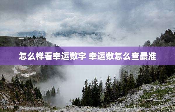怎么样看幸运数字 幸运数怎么查最准