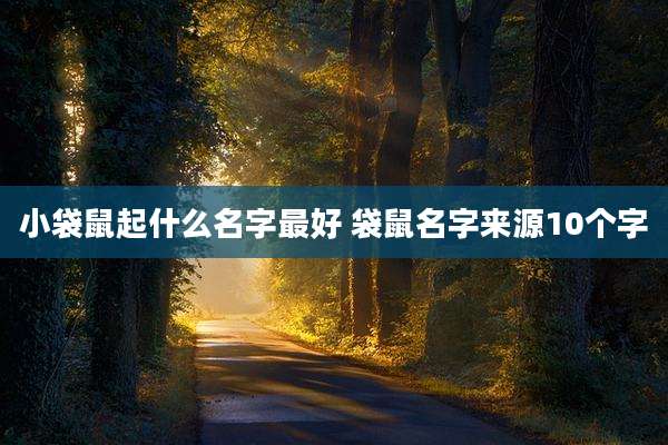 小袋鼠起什么名字最好 袋鼠名字来源10个字