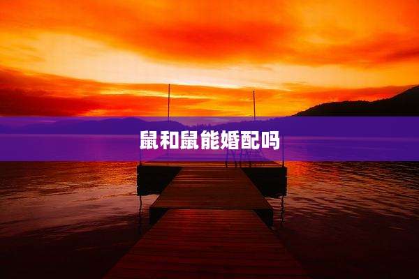 鼠和鼠能婚配吗