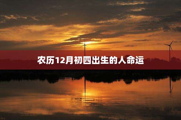 农历12月初四出生的人命运